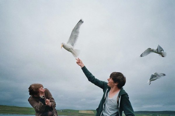 Девушка отпускает птицу
