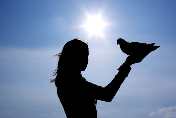 Девушка выпускает птицу