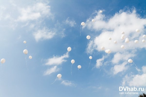Воздушные шары в небе
