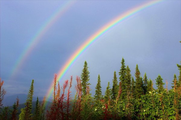 Радуга Рейнбоу в России