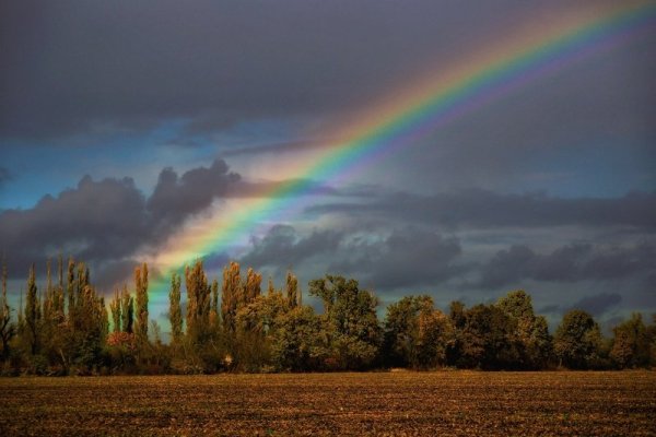 Радуга в мае