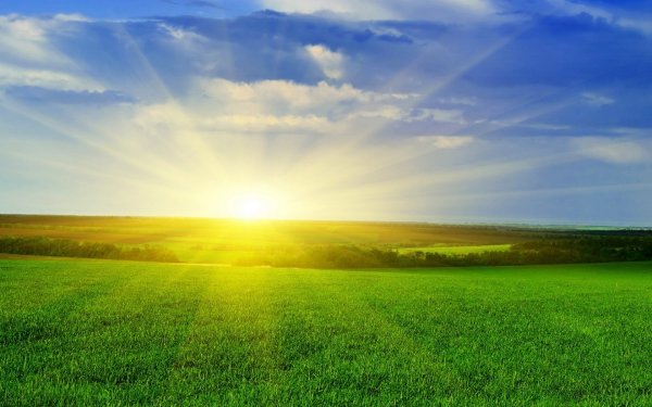 Природа поле