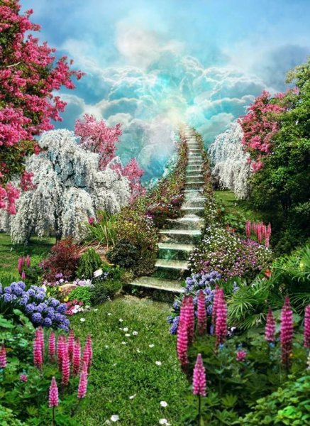 Сказочные сады