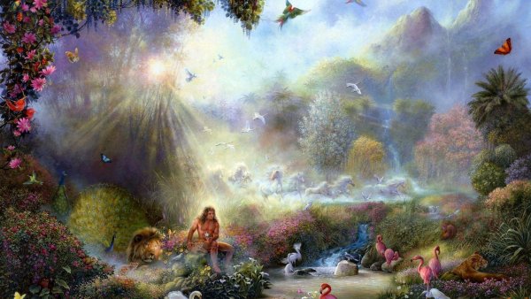 Поляна ночью