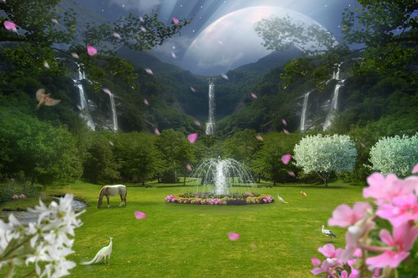 Сказочное поле