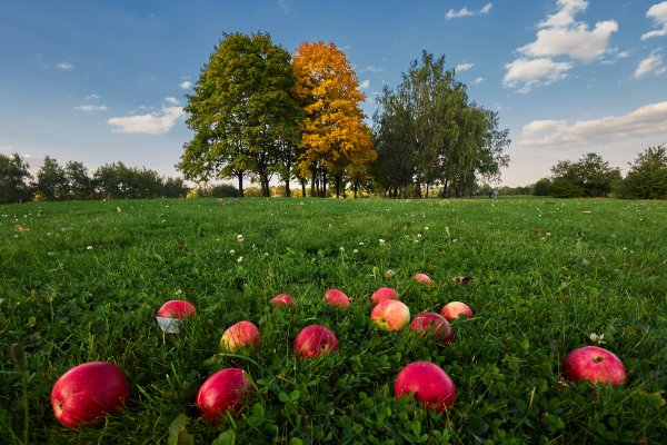 Mario Duguay художник