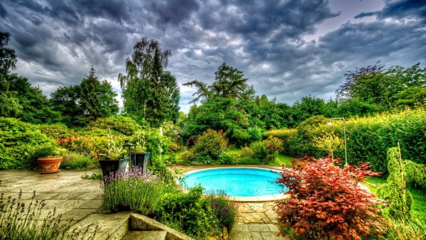 Старый Яблоневый сад Реутов