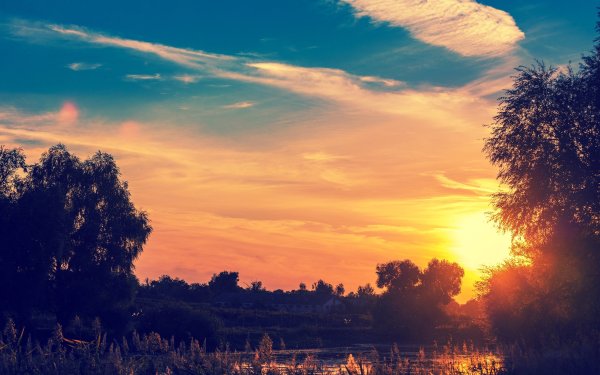 Лето рассвет