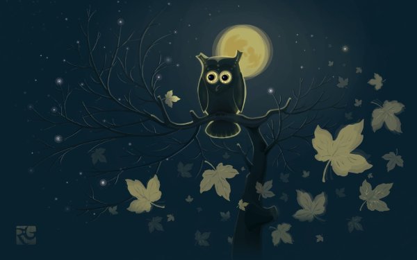 Птицы ночью летают