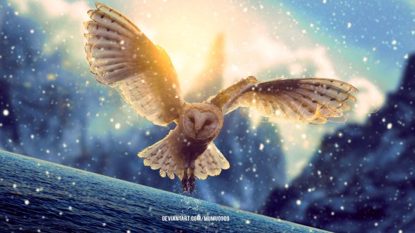 Сипуха арт фэнтези