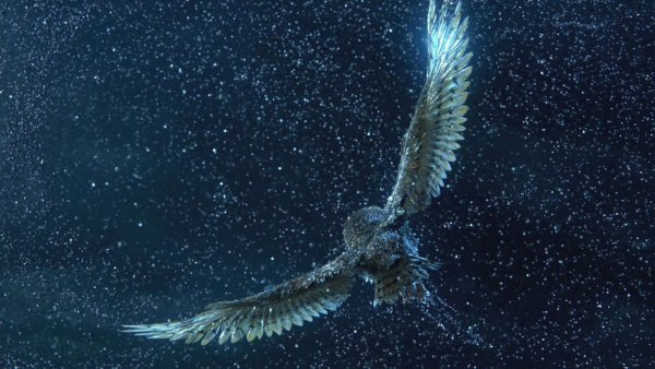 Сказочное полнолуние