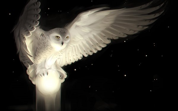 Совы Полярные