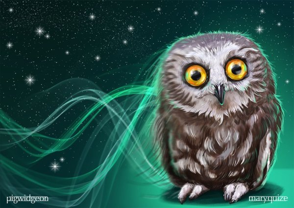 Волк орёл Луна