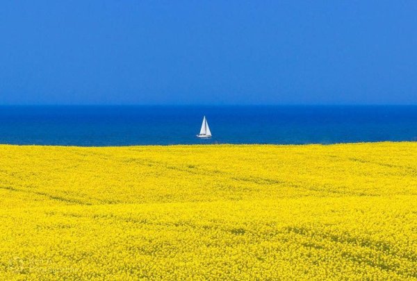 Желто голубое море