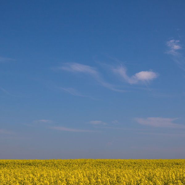 Голубое небо Горизонт