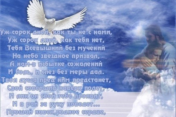 Светлая память небо