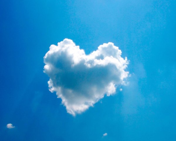 Мне бы в небо стихи