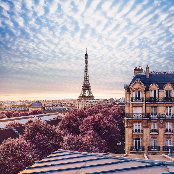 Идеал красоты Париж