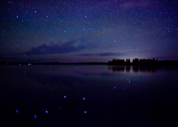 Ночное небо большая Медведица