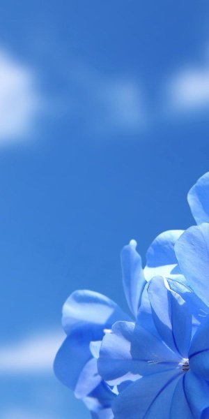 Небесно голубой