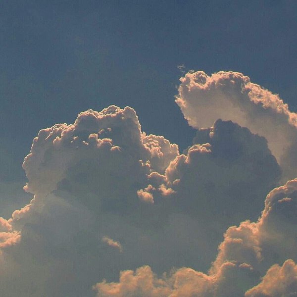 Милость богов