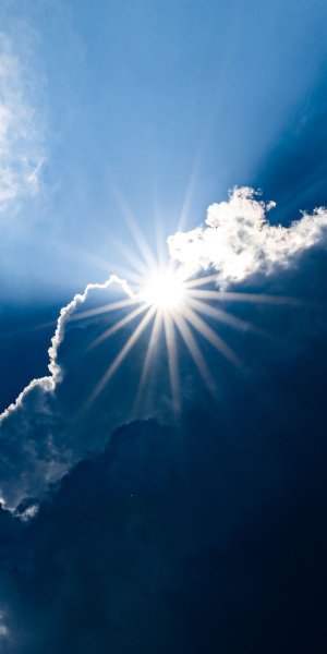 Млечный путь над лесом