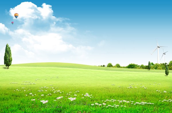 Лужайка с цветами