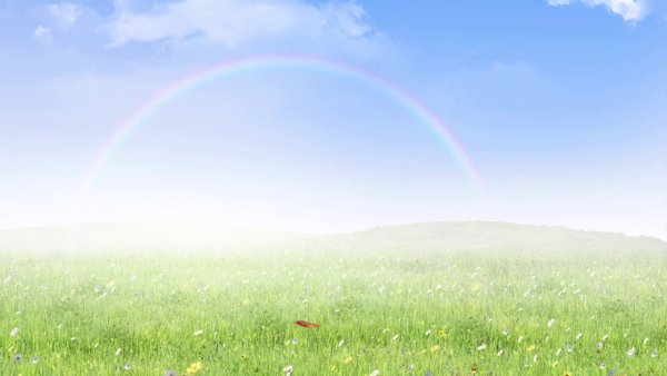 Фон солнышко