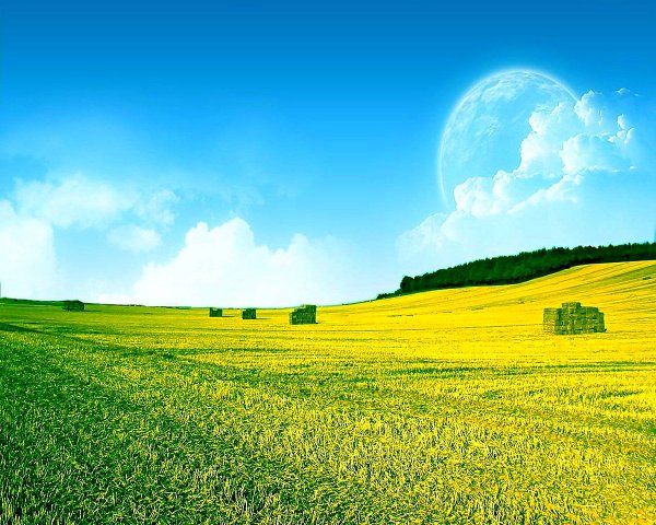 Мультяшное поле с небом