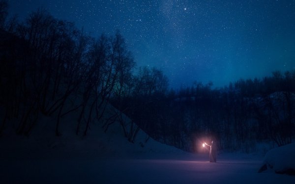 Зимний ночной пейзаж