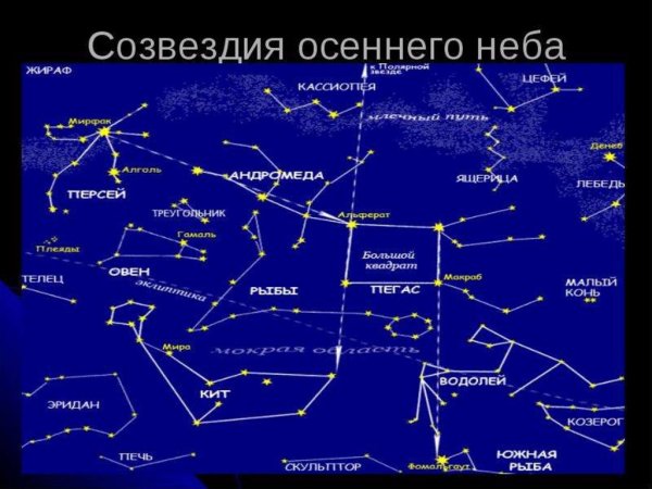 Созвездия зимнего неба Северного полушария