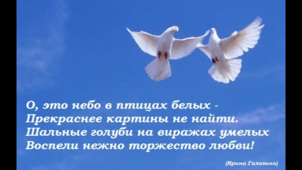 Слайд мирного неба