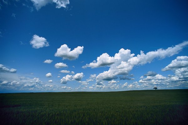 Облака и осадки