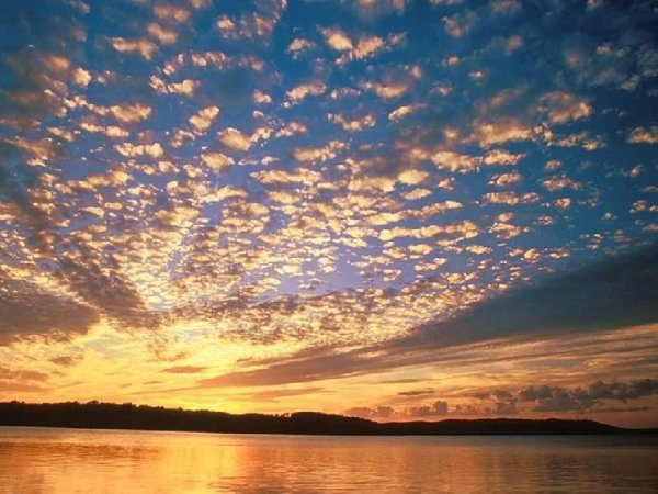 Облако для фразы