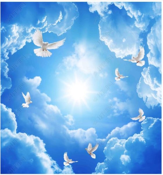 Натяжной потолок с голубями