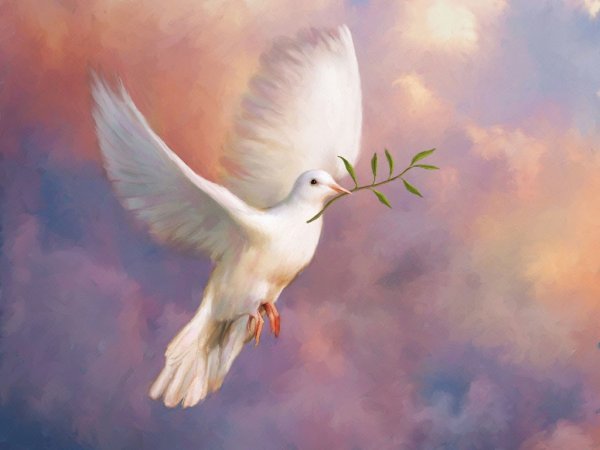 Голубь Святой дух