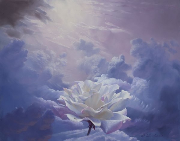 Букет из облаков