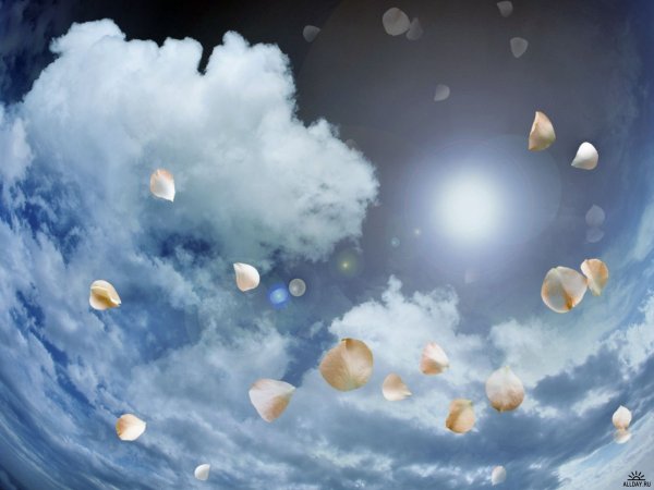 Сердечко в небе