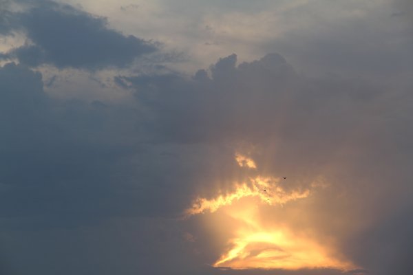 Туча в огне