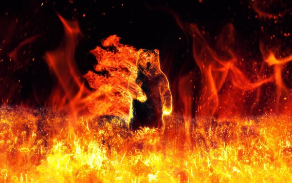 Горящий медведь
