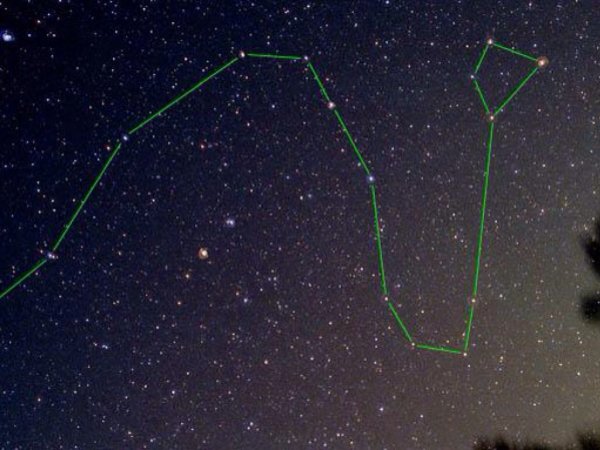 Околополярное Созвездие дракон