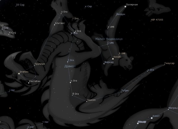 Голова дракона астеризм