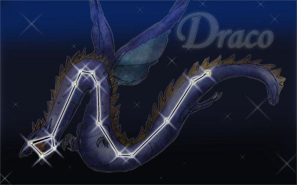 Дракон Draco Созвездие