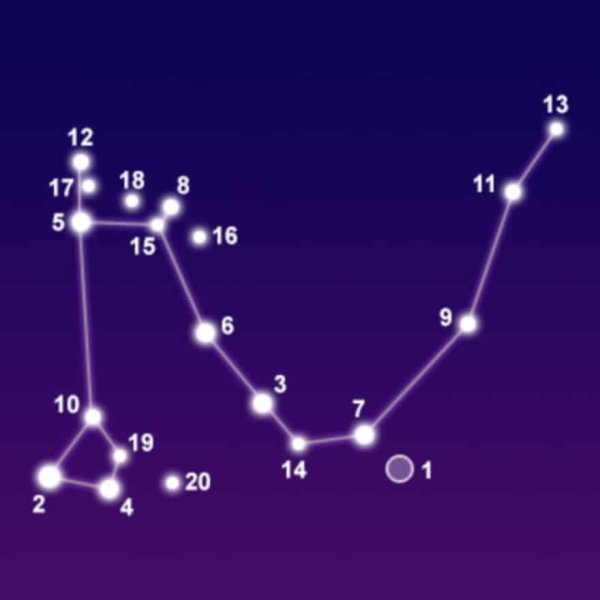 Дракон Draco Созвездие