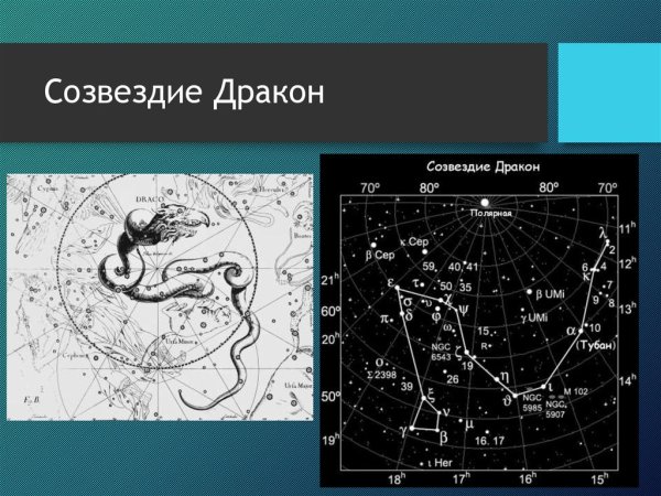 Созвездие дракона яркие звезды