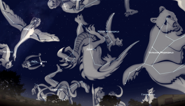 Созвездие дракона