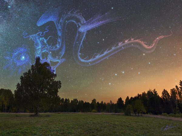 Созвездие дракона