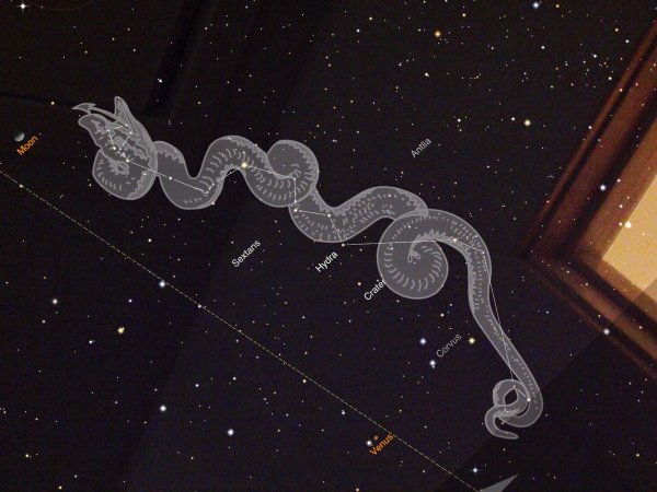 Созвездие гидра