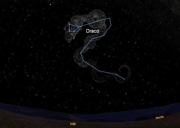 Созвездие дракона