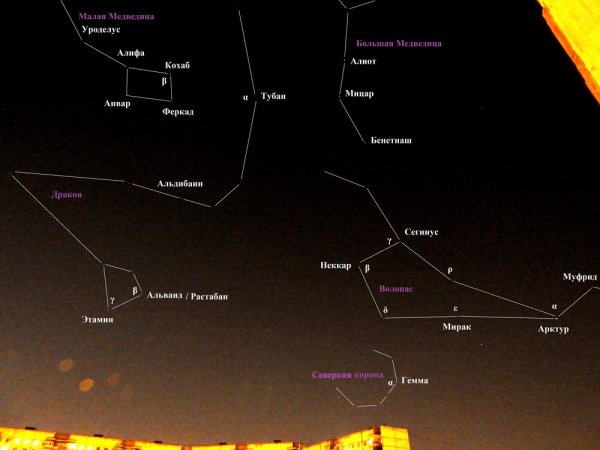 Большая и малая Медведица Кассиопея на небе